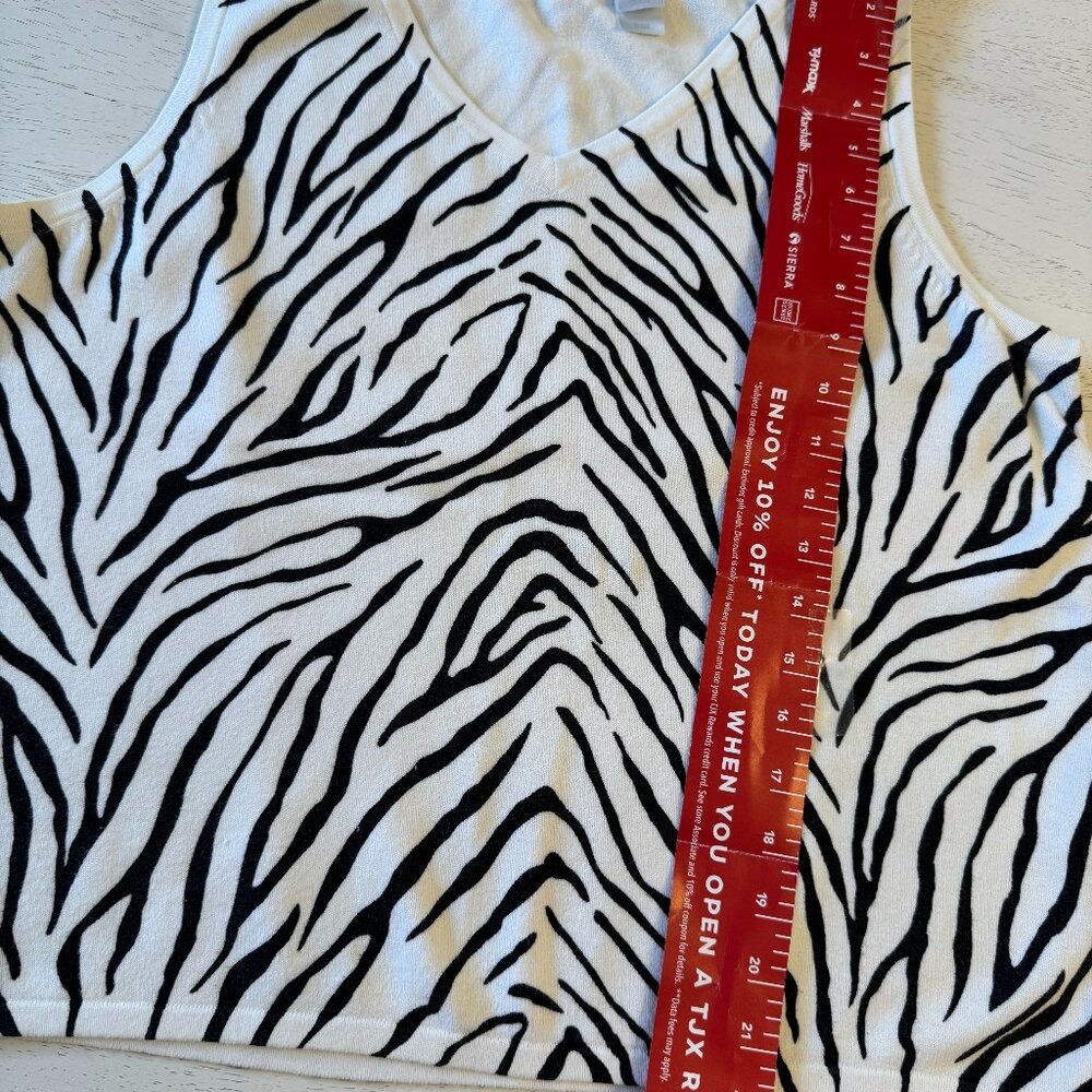 Zebra shell - Picture 2 of 4